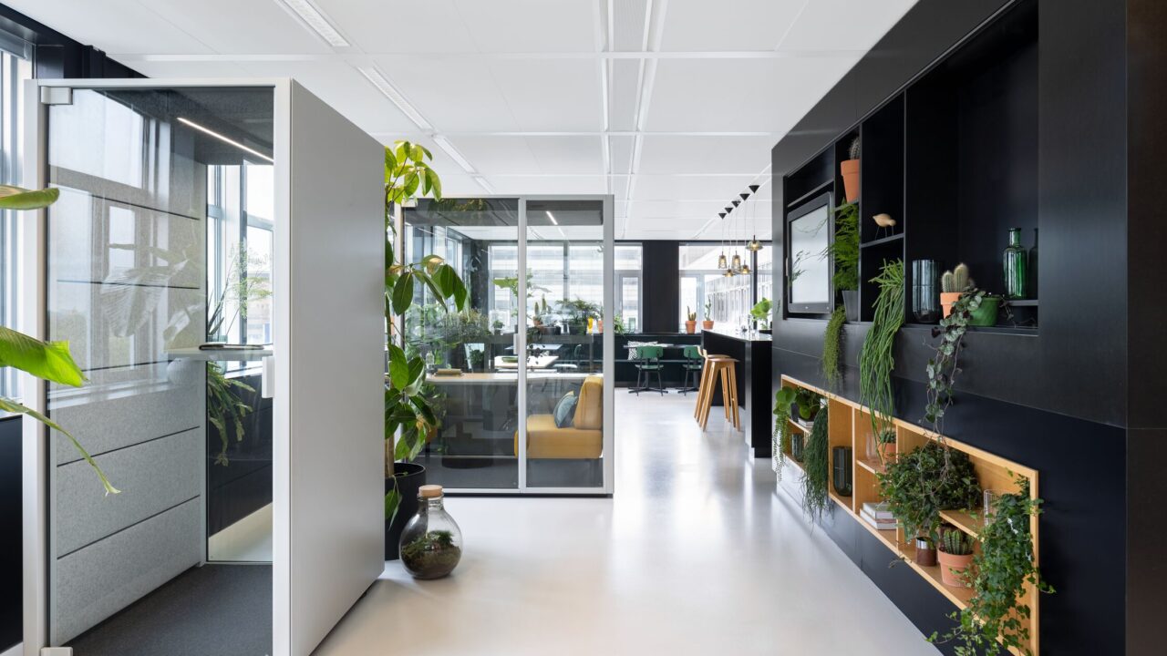 Image of Pods Collection